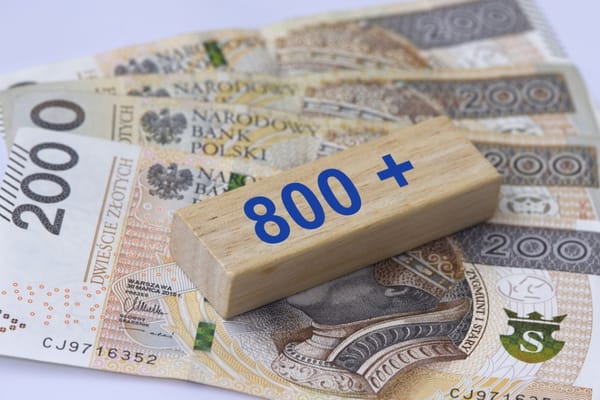 Вместо 800+ — «родительская зарплата», но выдержит ли такую нагрузку экономика Польши?